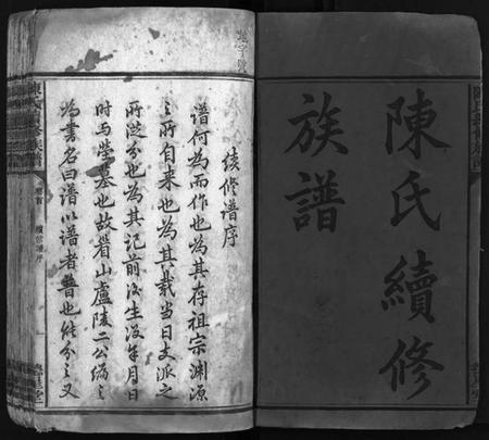 湖南陈氏族谱-陈氏续修族谱 [8卷,首1卷].pdf电子版插图2