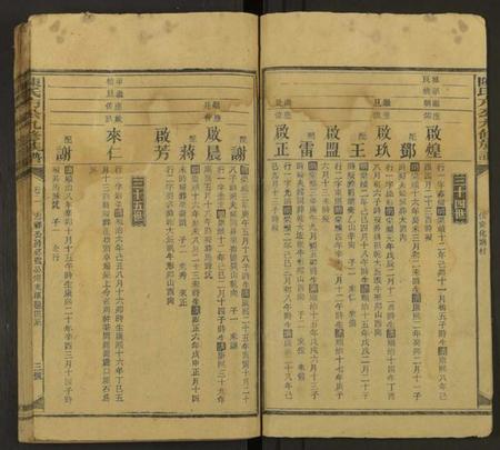 湖南陈氏族谱-陈氏九修族谱 [残卷].pdf电子版插图3