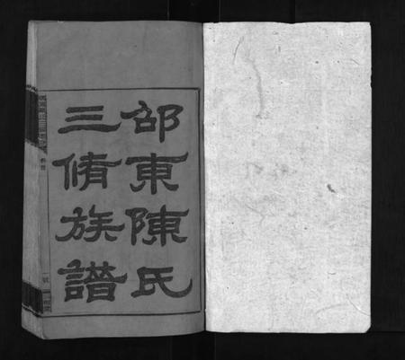 湖南陈氏族谱-邵东陈氏三修族谱 [8卷,首末各1卷].pdf电子版插图1