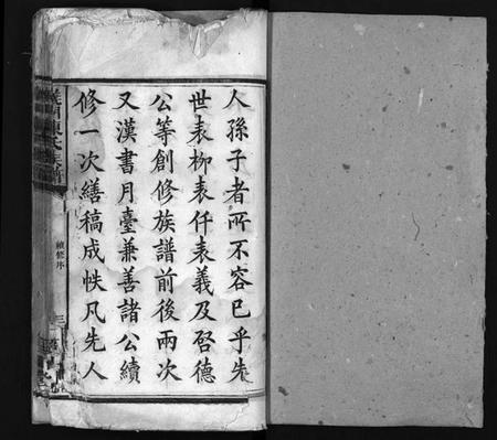 湖南陈氏族谱-义门陈氏族谱 [12卷].pdf电子版插图1