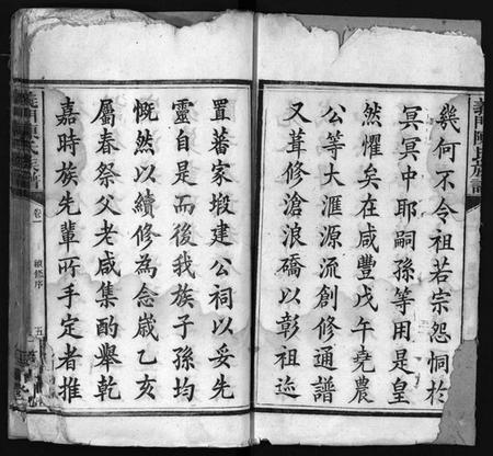 湖南陈氏族谱-义门陈氏族谱 [12卷].pdf电子版插图3