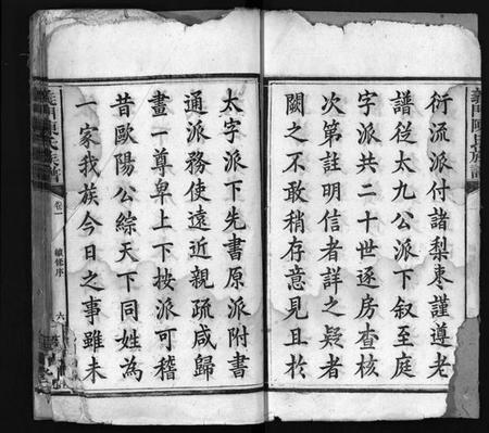 湖南陈氏族谱-义门陈氏族谱 [12卷].pdf电子版插图4