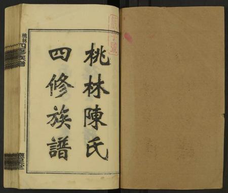 湖南陈氏族谱-桃林陈氏四修族谱 [残卷].pdf电子版插图1