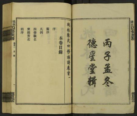 湖南陈氏族谱-桃林陈氏四修族谱 [残卷].pdf电子版插图2