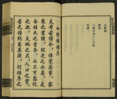 湖南陈氏族谱-桃林陈氏四修族谱 [残卷].pdf电子版插图4