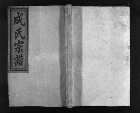 湖南成氏族谱-成氏宗谱 [16卷,首3卷].pdf电子版