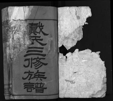 湖南戴氏族谱-戴氏三修族谱 [13卷,首1卷].pdf电子版插图1