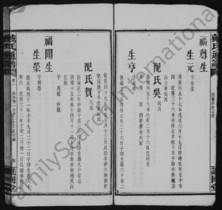 湖南戴氏族谱-戴氏续修通谱 [33卷].pdf电子版插图4