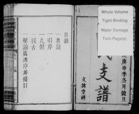 江西陈氏族谱-石溪陈氏重修支谱 [3卷,及卷首].pdf电子版插图2