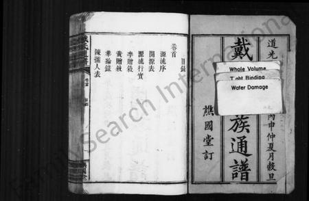 湖南戴氏族谱-戴氏阖族通谱 [19卷,含卷首].pdf电子版插图2