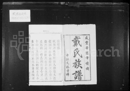 湖南戴氏族谱-鹤岭戴氏四修族谱 _ [40卷].pdf电子版插图2