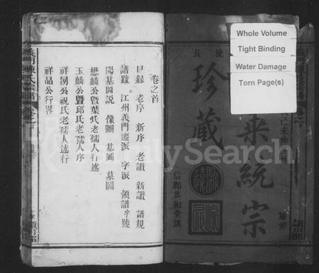 江西陈氏族谱-义门陈氏宗谱 [4卷,首1卷].pdf电子版插图2