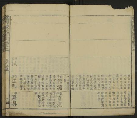 江西陈氏族谱-义门陈氏家乘 [不分卷].pdf电子版插图3