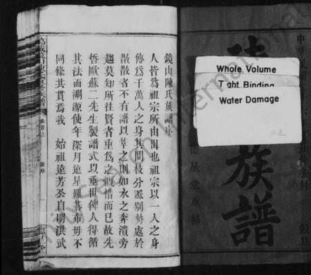 江西陈氏族谱-陈氏族谱 [19卷,及卷首末].pdf电子版插图2