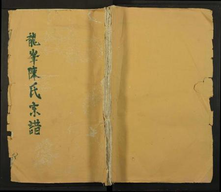 江西陈氏族谱-龙峯陈氏宗谱[残卷].pdf电子版