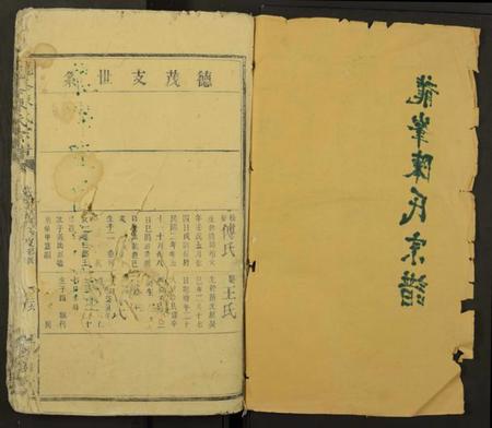 江西陈氏族谱-龙峯陈氏宗谱[残卷].pdf电子版插图1