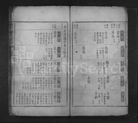 江西陈氏族谱-义门陈氏宗谱 [残卷].pdf电子版插图2