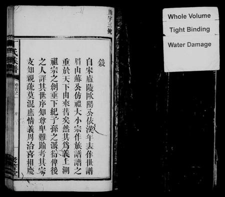 湖南丁氏族谱-丁氏六修族谱 [21卷,首4卷].pdf电子版插图2