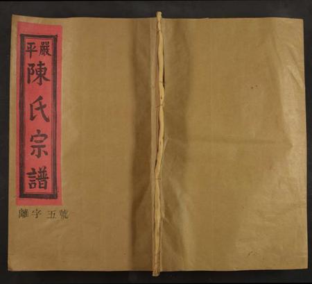 江西陈氏族谱-严平陈氏宗谱[不分卷].pdf电子版