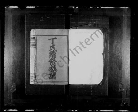 湖南丁氏族谱-丁氏续修族谱 [19卷,首2卷].pdf电子版插图1