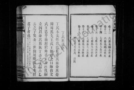 湖南丁氏族谱-丁氏续修族谱 [19卷,首2卷].pdf电子版插图5