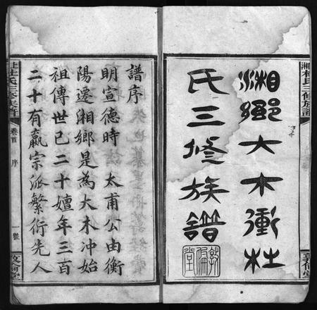 湖南杜氏族谱-湘乡杜氏三修族谱 [21卷,首1卷].pdf电子版插图3