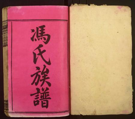 湖南冯氏族谱-月形山冯氏四修族谱[14卷].pdf电子版插图1