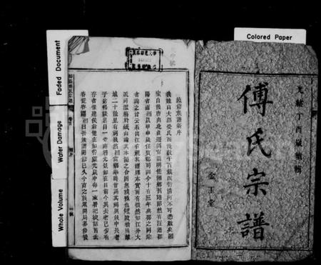 湖南傅氏族谱-傅氏宗谱 [5卷,首末各1卷].pdf电子版插图2