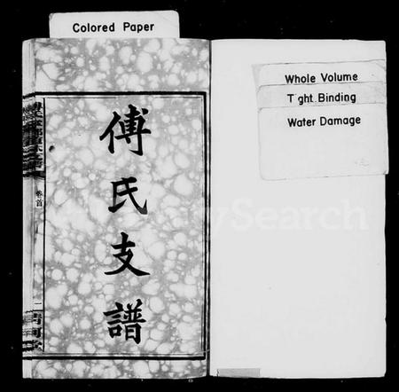 湖南傅氏族谱-傅氏支谱 [12卷,首1卷].pdf电子版插图2