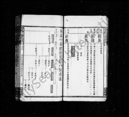 湖南傅氏族谱-大塘傅氏三修族谱 [11卷,及卷首].pdf电子版插图2