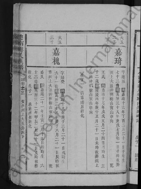 湖南傅氏族谱-楚南傅氏族谱 [残卷].pdf电子版插图5