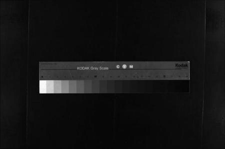 湖南傅氏族谱-浏阳花园傅氏族谱 [30卷].pdf电子版