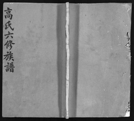 湖南高氏族谱-高氏六修族谱 [18卷含卷首,末2卷].pdf电子版插图1