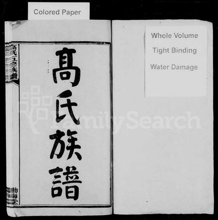 湖南高氏族谱-高氏族谱 [25卷,首3卷].pdf电子版插图2