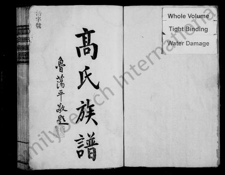 湖南高氏族谱-高氏族谱 [6卷,首1卷].pdf电子版插图3