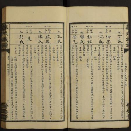 湖南辜氏族谱-平江辜氏族谱[13卷].pdf电子版插图4