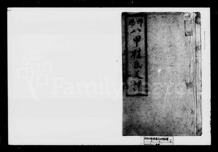 湖南桂氏族谱-桂氏四修族谱.pdf电子版插图1