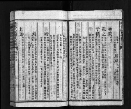 湖南郭氏族谱-桂东郭氏族谱[10卷].pdf电子版插图3