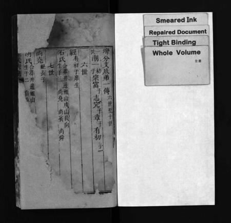 江西程氏族谱-程氏宗谱 [残卷].pdf电子版插图2