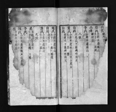 江西程氏族谱-程氏宗谱 [残卷].pdf电子版插图3