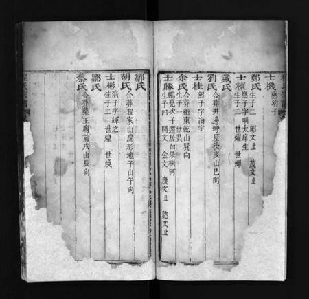 江西程氏族谱-程氏宗谱 [残卷].pdf电子版插图5