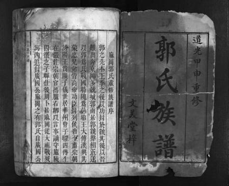 湖南郭氏族谱-郭氏族谱 [不分卷].pdf电子版插图2