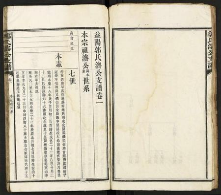 湖南郭氏族谱-郭氏溶公支谱 [74卷及卷首末].pdf电子版插图5