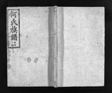 湖南何氏族谱-何氏续修族谱 [不分卷].pdf电子版插图1