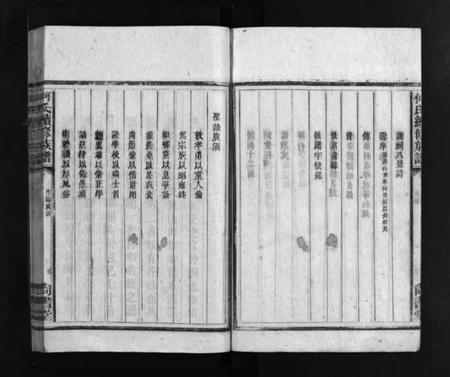 湖南何氏族谱-何氏续修族谱 [不分卷].pdf电子版插图4