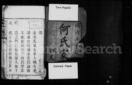 湖南何氏族谱-何氏家谱 [10卷, 首末各1卷].pdf电子版插图2