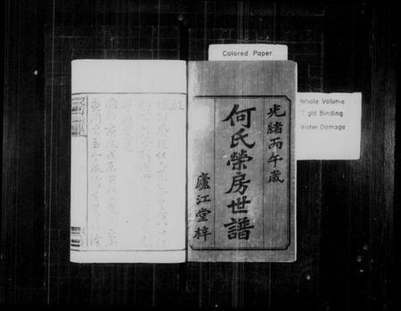 湖南何氏族谱-何氏荣房三修世谱 [16卷,首2卷,末1卷].pdf电子版插图2