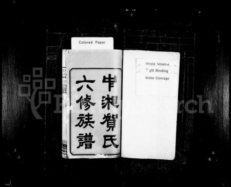 湖南贺氏族谱-中湘贺氏六修族谱 [14卷].pdf电子版插图2
