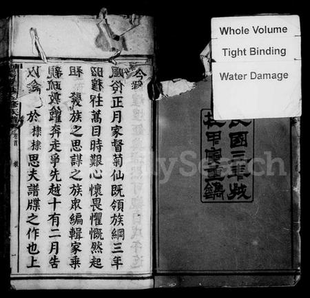 湖南贺氏族谱-涟湘贺氏族谱 [21卷,首1卷].pdf电子版插图4