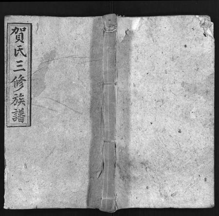 湖南贺氏族谱-贺氏三修族谱 [21卷,首20卷].pdf电子版插图1